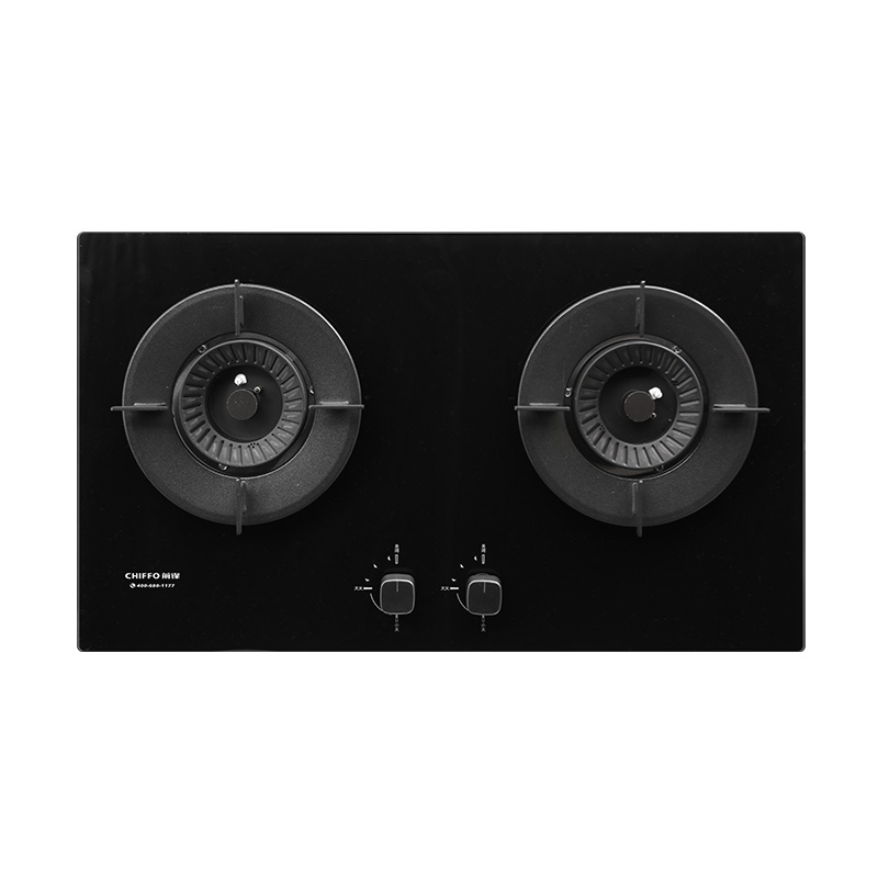 Fogão a Gás LPG de 2 Queimador - Electronics & Tech Gadgets avaliação e preço